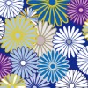 紺色ベースの菊紋柄パターン