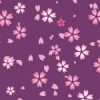 紫色背景の桜のイラストパターン