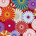 色とりどりの菊の紋が散らばる和柄パターン