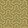 茶色と緑色の毘沙門亀甲柄パターン