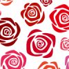 白背景の赤いバラの花のイラストが並ぶパターン