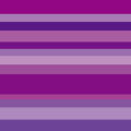 紫配色のマルチボーダー柄パターン
