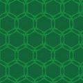 亀の甲羅のような緑色ベースの六角形パターン